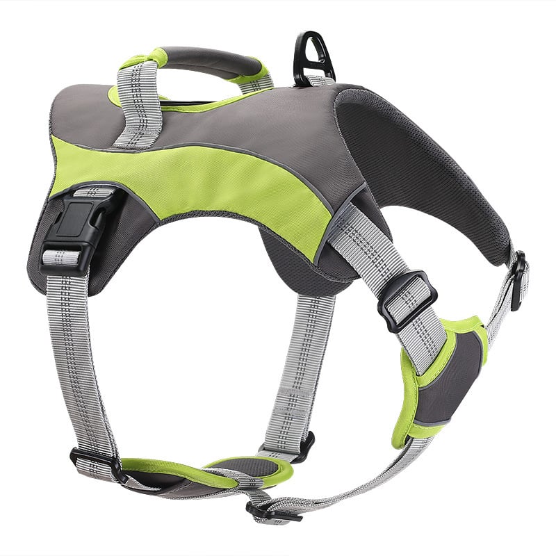 Reflective Comfort Pet Leashes and Straps
