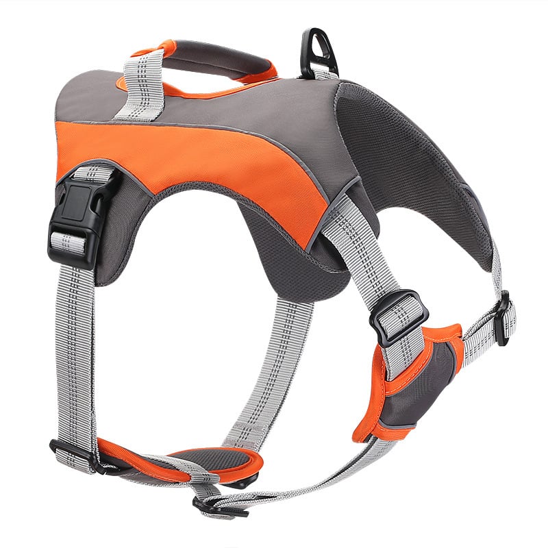 Reflective Comfort Pet Leashes and Straps