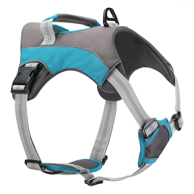 Reflective Comfort Pet Leashes and Straps